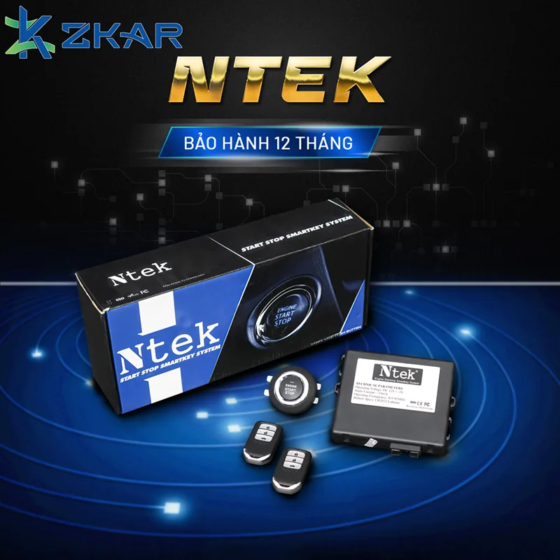 Smart Key Ntek