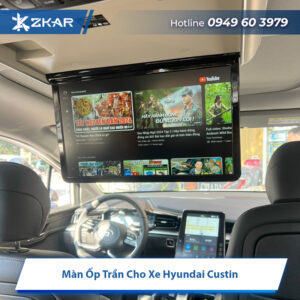 Màn Ốp Trần Cho Xe Hyundai Custin
