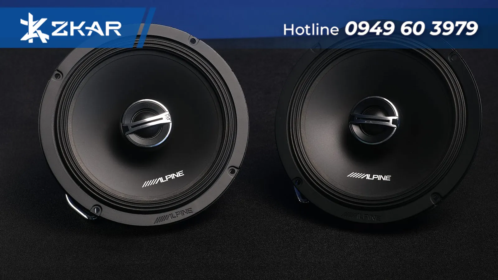 Loa Đồng Trục – DM-65