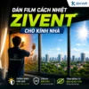 Dán Film ZIVEN Chống Chói Cho Nhà Kính